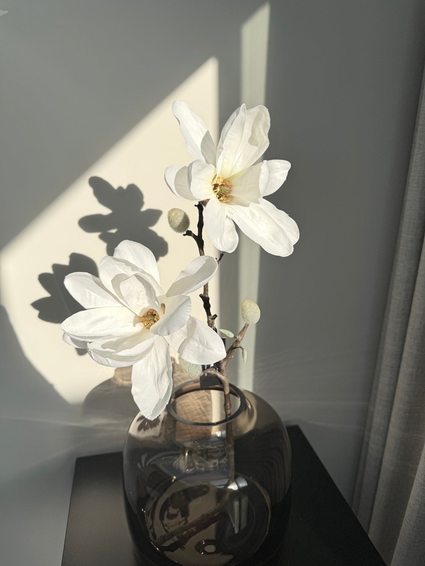 Magnolia tak S 8x62cm wit