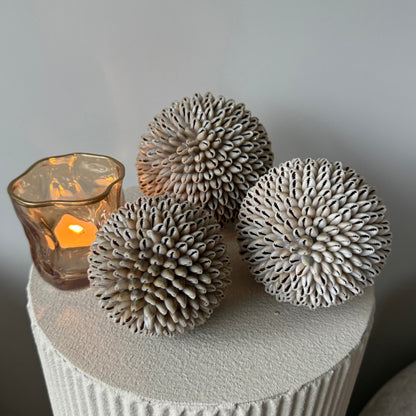 Schelpen decoratie bol (3 maten)