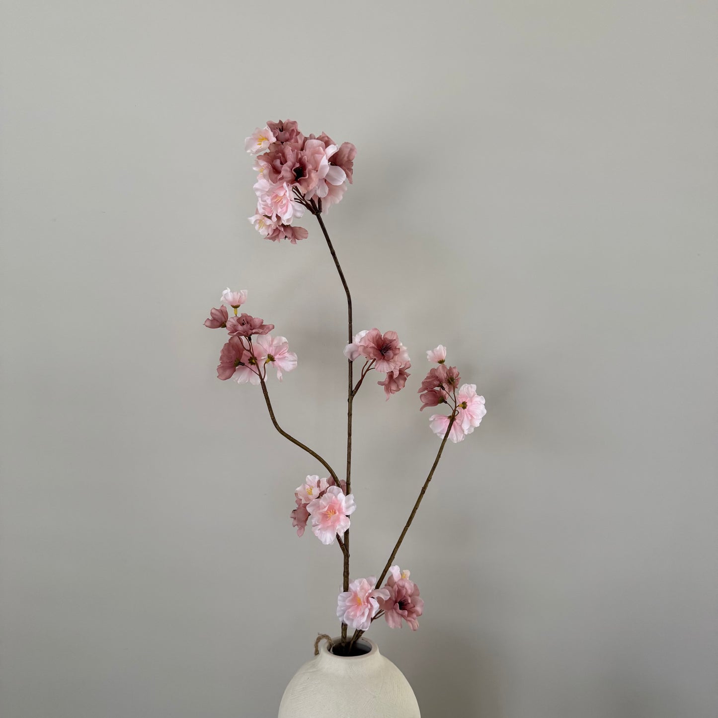 Prunus Malaga spray mix p/ old pink