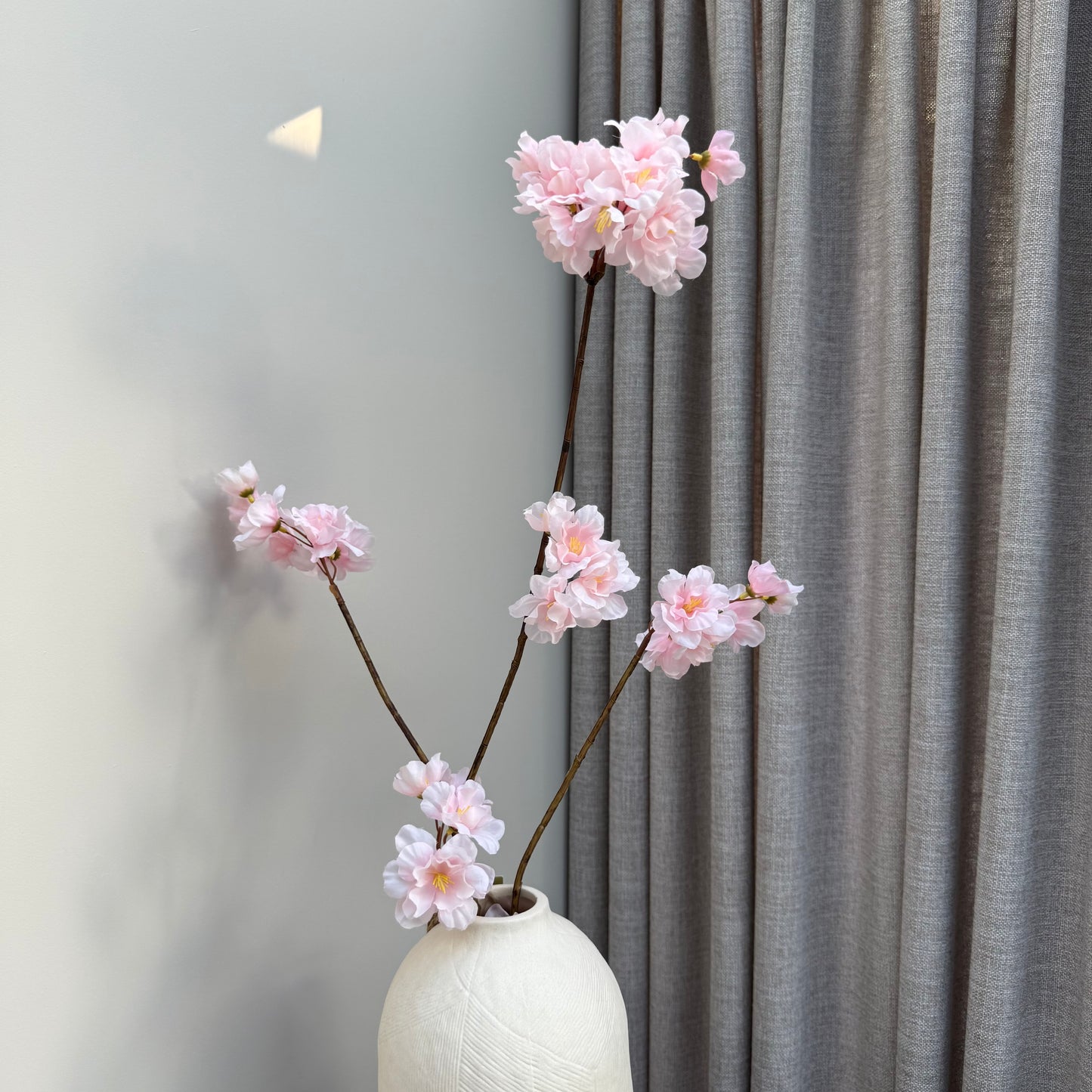 Prunus Malaga spray pink