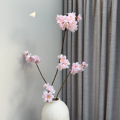Prunus Malaga spray pink