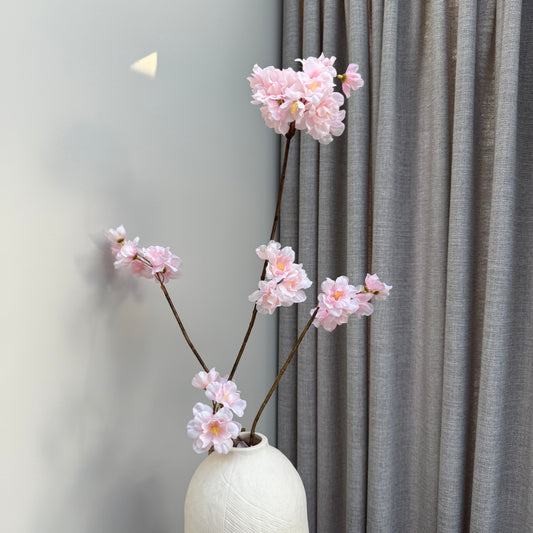Prunus Malaga spray pink