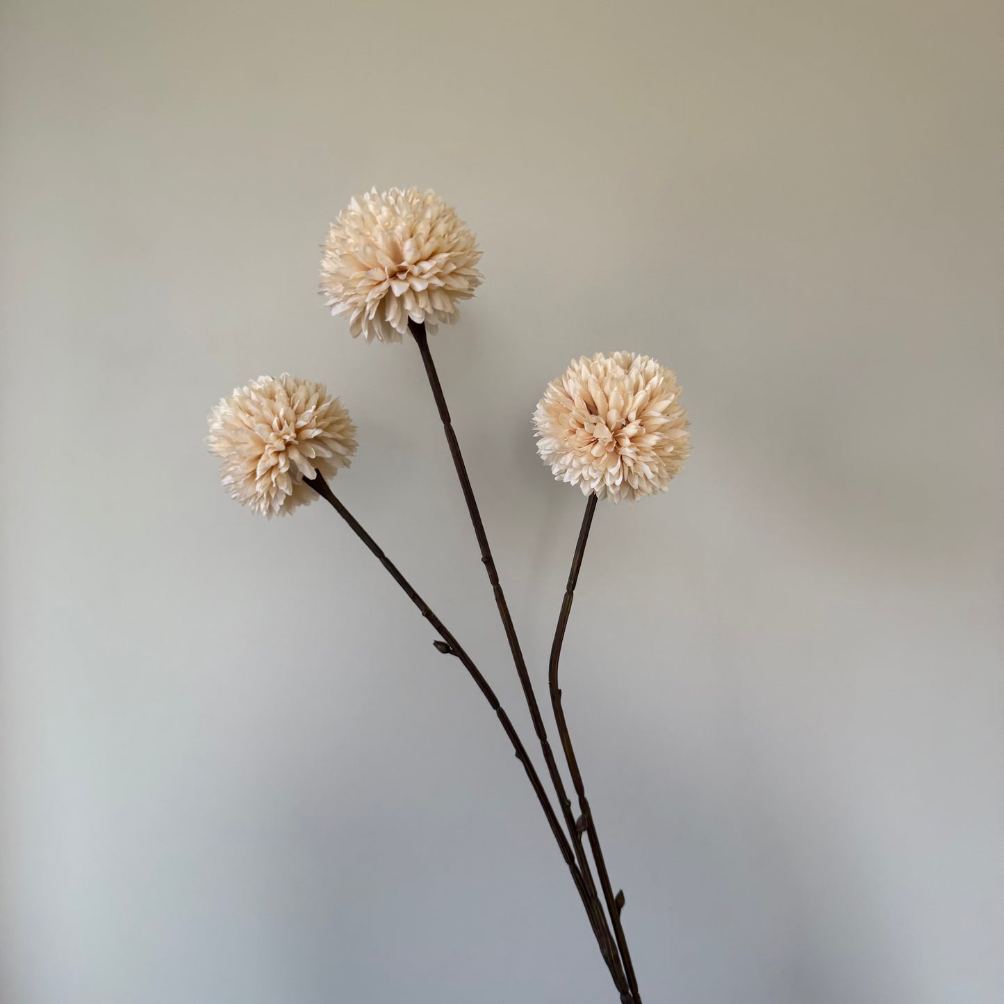 Pompom - Cream 3 bol