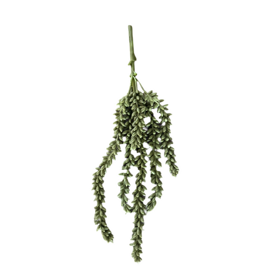 Erwten plantje groen 33cm