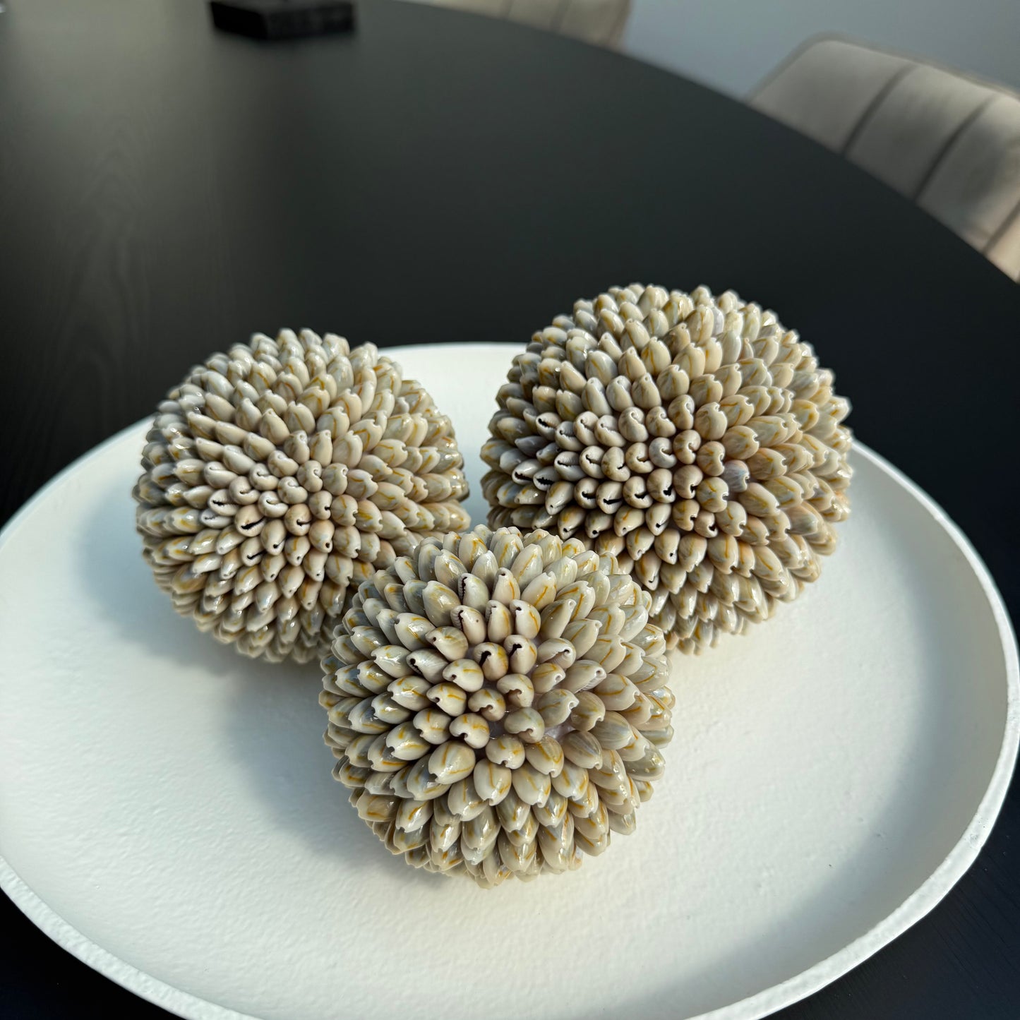 Schelpen decoratie bol