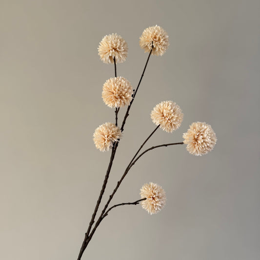 Pompom tak L - Cream
