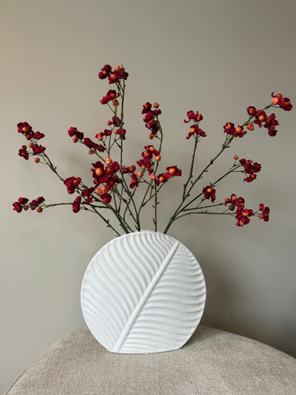 Complete set | Berry