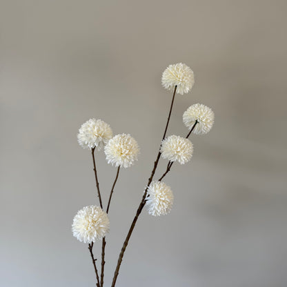 Pompom tak white L