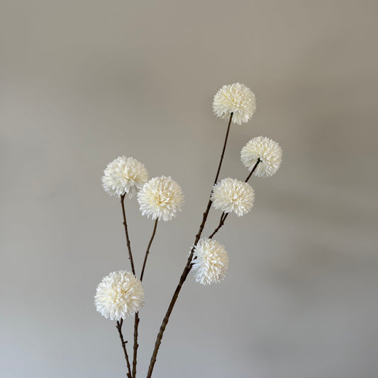 Pompom tak white L