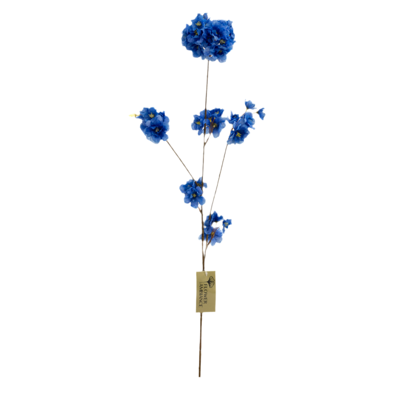 Prunus Malaga spray dark blue