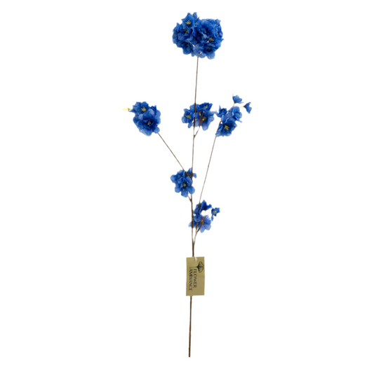 Prunus Malaga spray dark blue