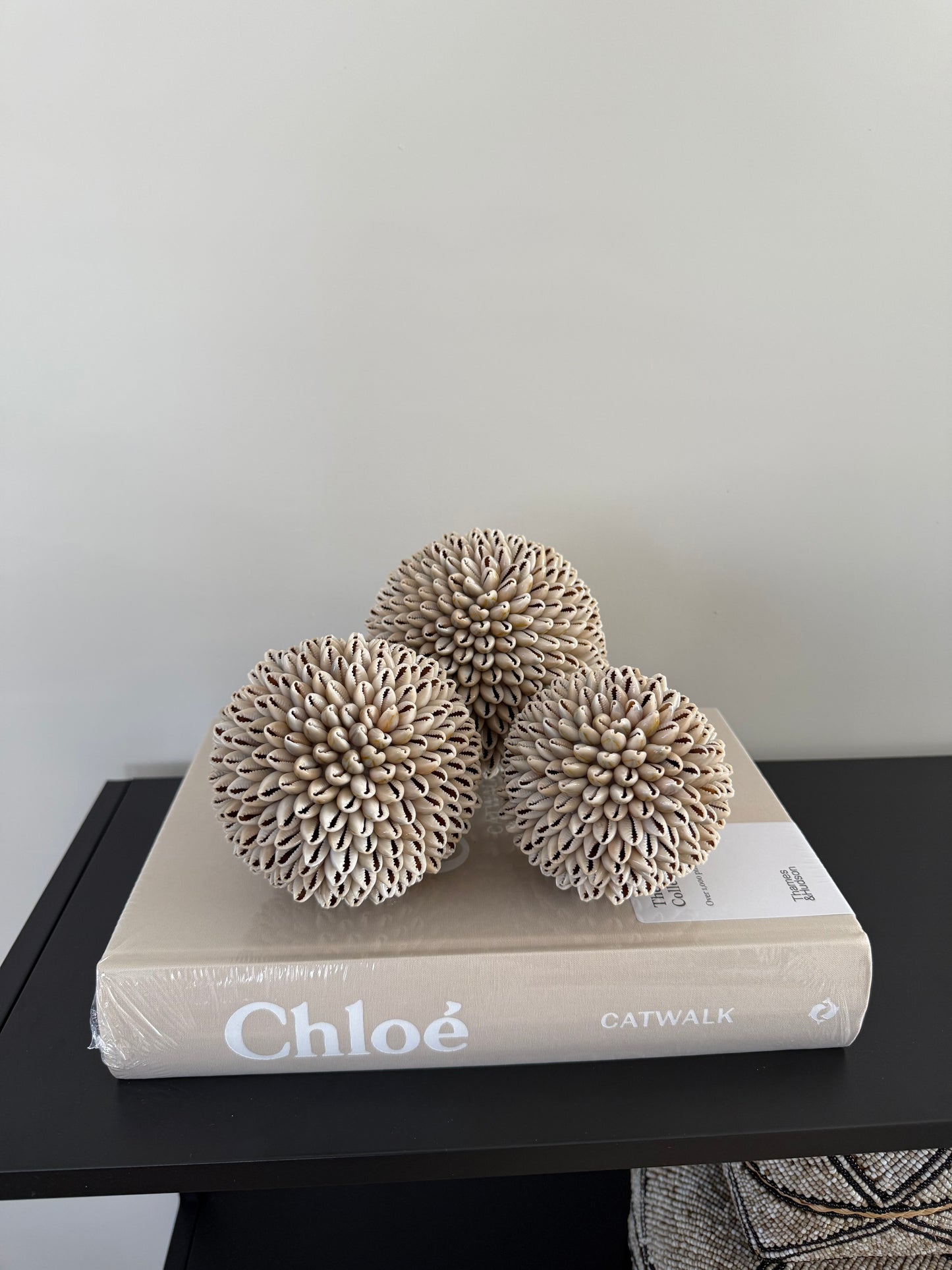 Schelpen decoratie bol