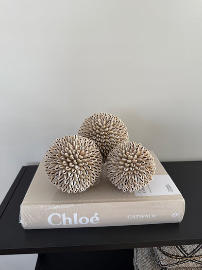 Schelpen decoratie bol