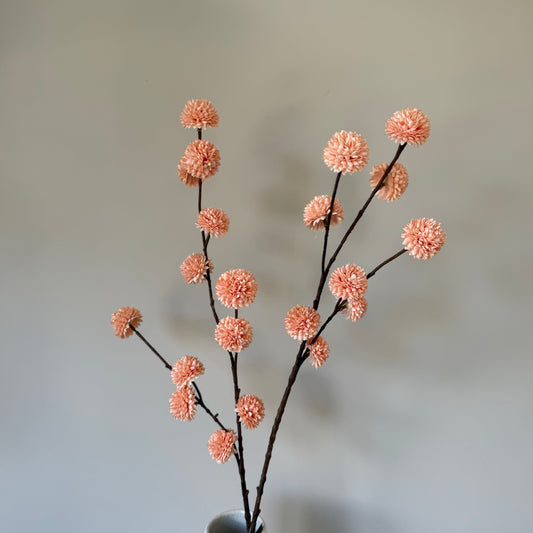 Pompom tak Salmon