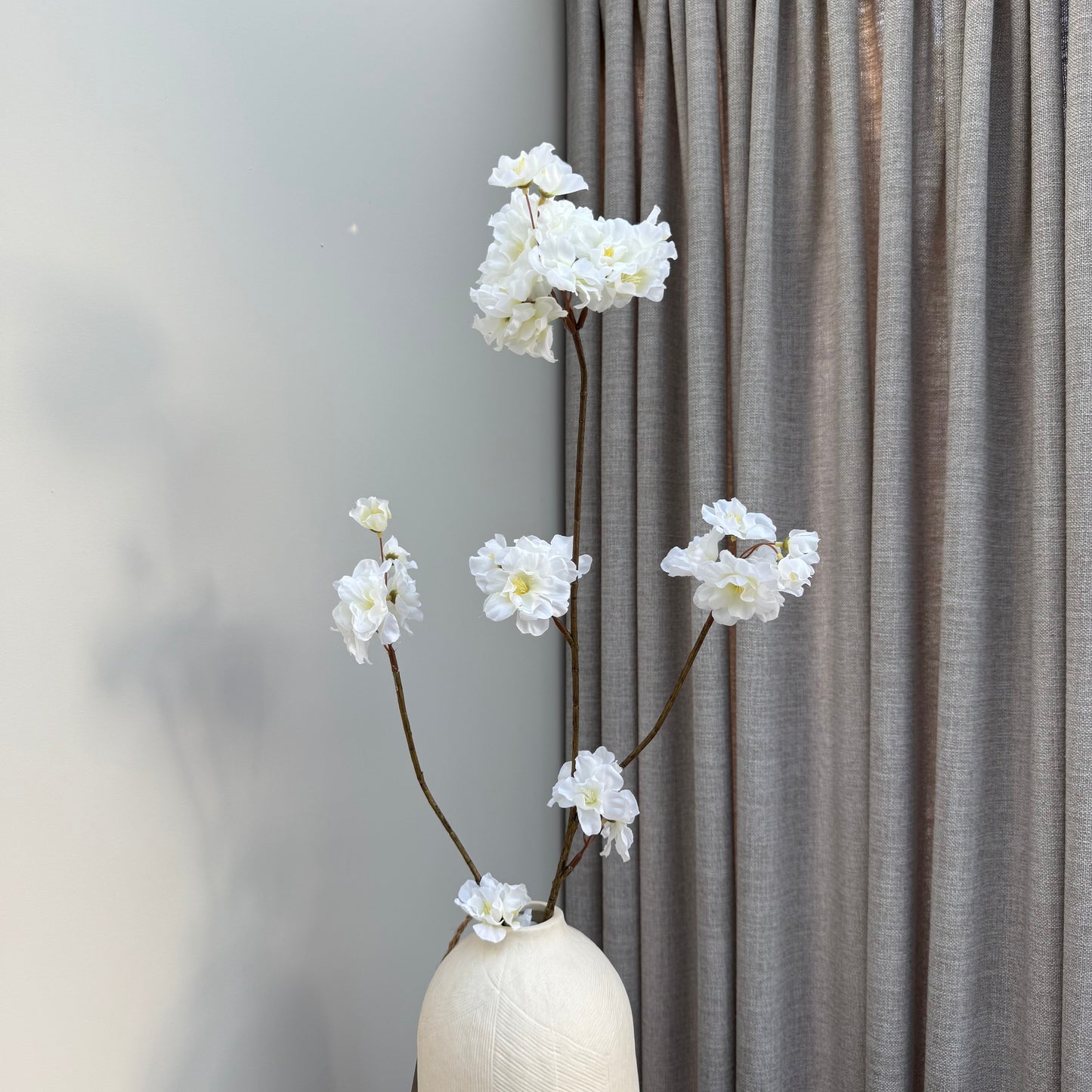Prunus Malaga spray white