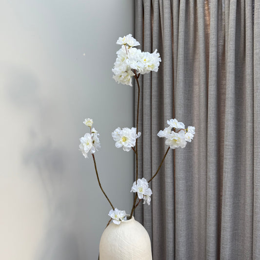 Prunus Malaga spray white