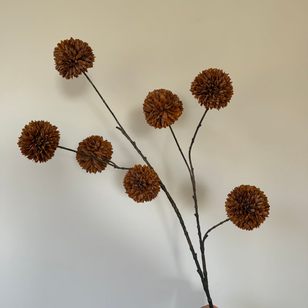 Pompom tak L - Light coffee