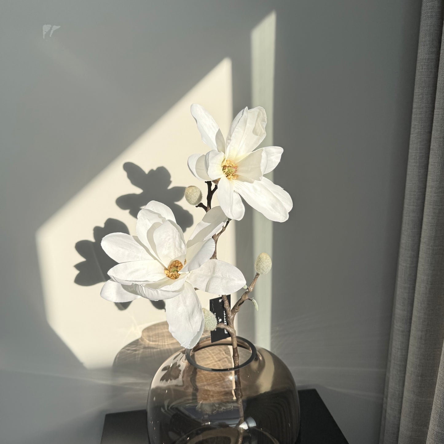 Magnolia tak S 8x62cm wit