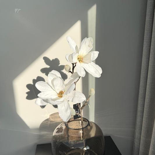 Magnolia tak S 8x62cm wit