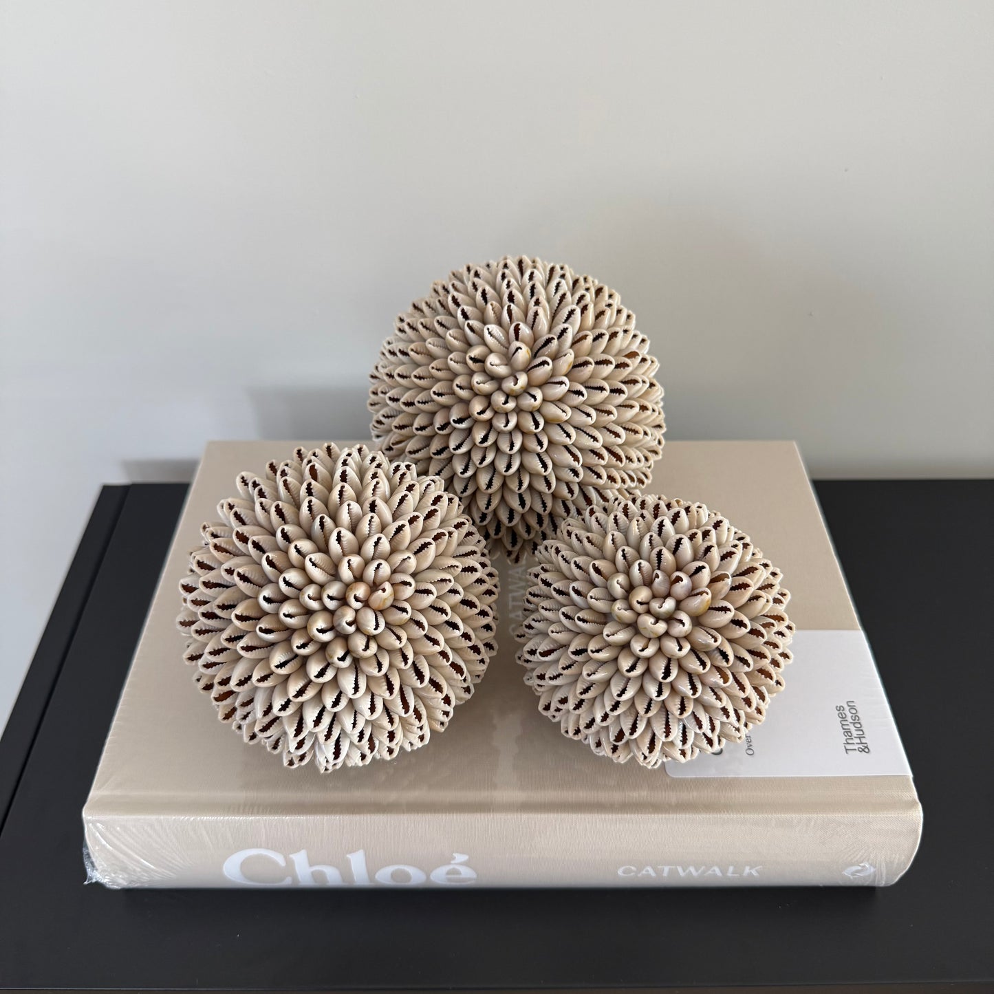 Schelpen decoratie bol