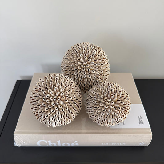 Schelpen decoratie bol