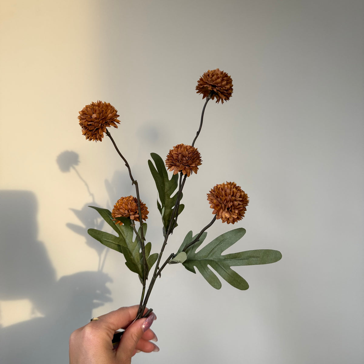 Flower Pompom choco S 52cm